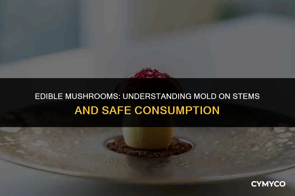 are mushrooms with mold on stem ok to eat