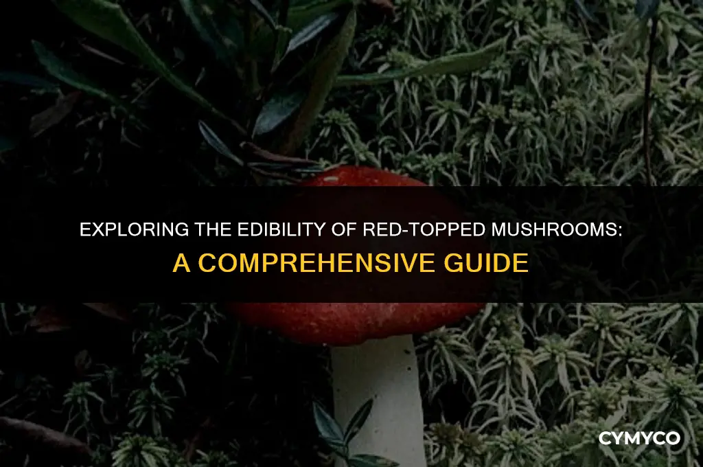 are mushrooms with red tops poisonous