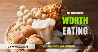 Exploring the Edibility and Benefits of Mushrooms: A Comprehensive Guide