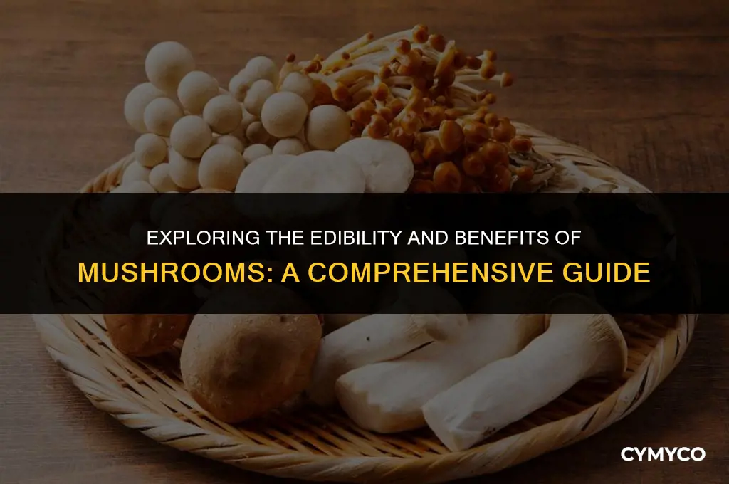are mushrooms worth eating