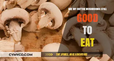 Freshness Check: Are Your Button Mushrooms Still Safe to Enjoy?