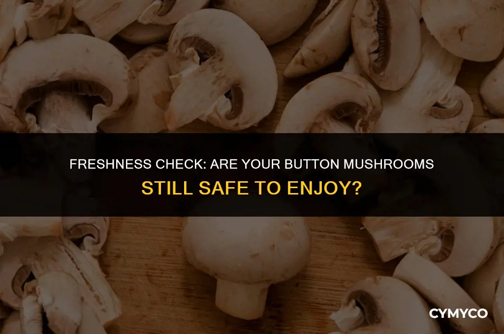 are my button mushrooms still good to eat