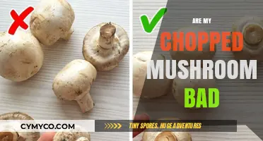 Are My Chopped Mushrooms Spoiled? A Guide to Freshness and Safety