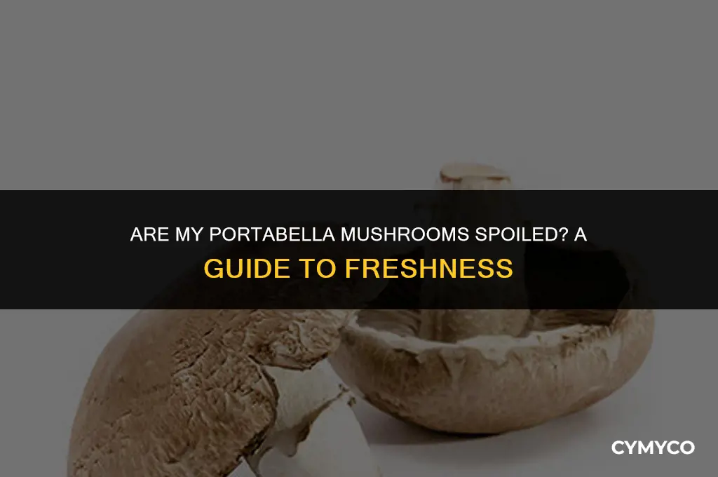 are my portabella mushrooms bad