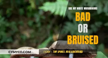 Are My White Mushrooms Spoiled? Signs of Bruising and How to Prevent It