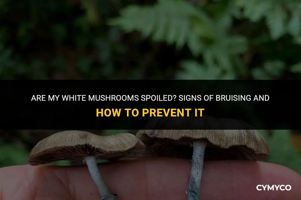 are my white mushrooms bad or bruised