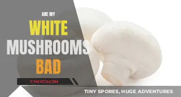 Are My White Mushrooms Spoiled? A Guide to Freshness and Safety