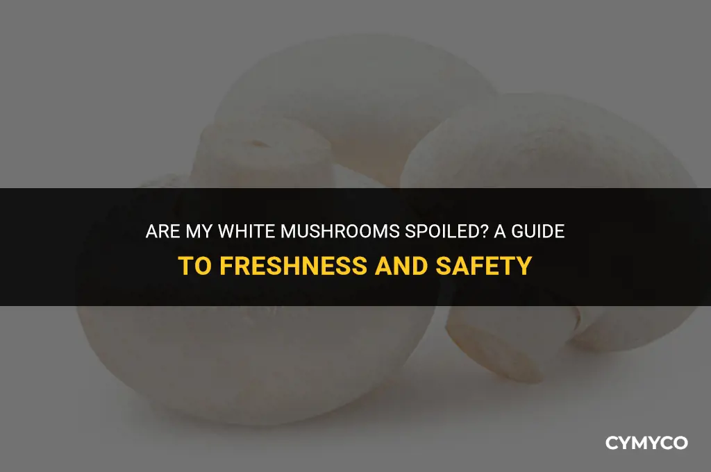 are my white mushrooms bad
