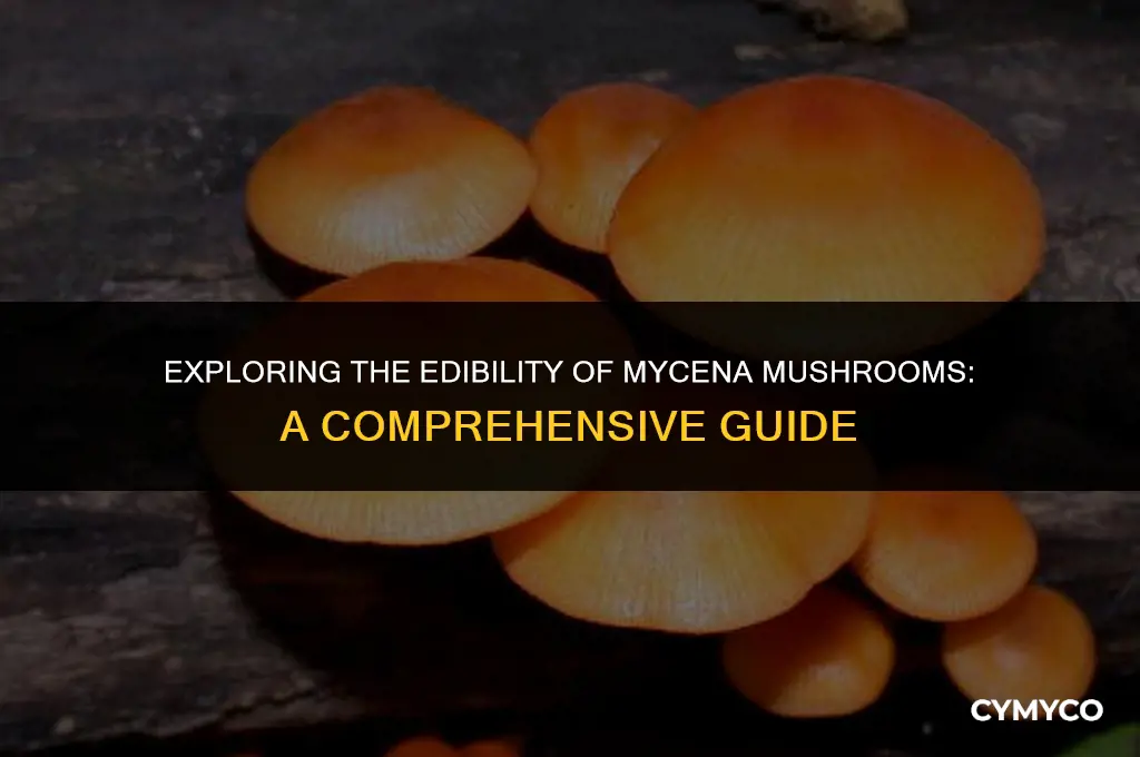 are mycena mushrooms poisonous