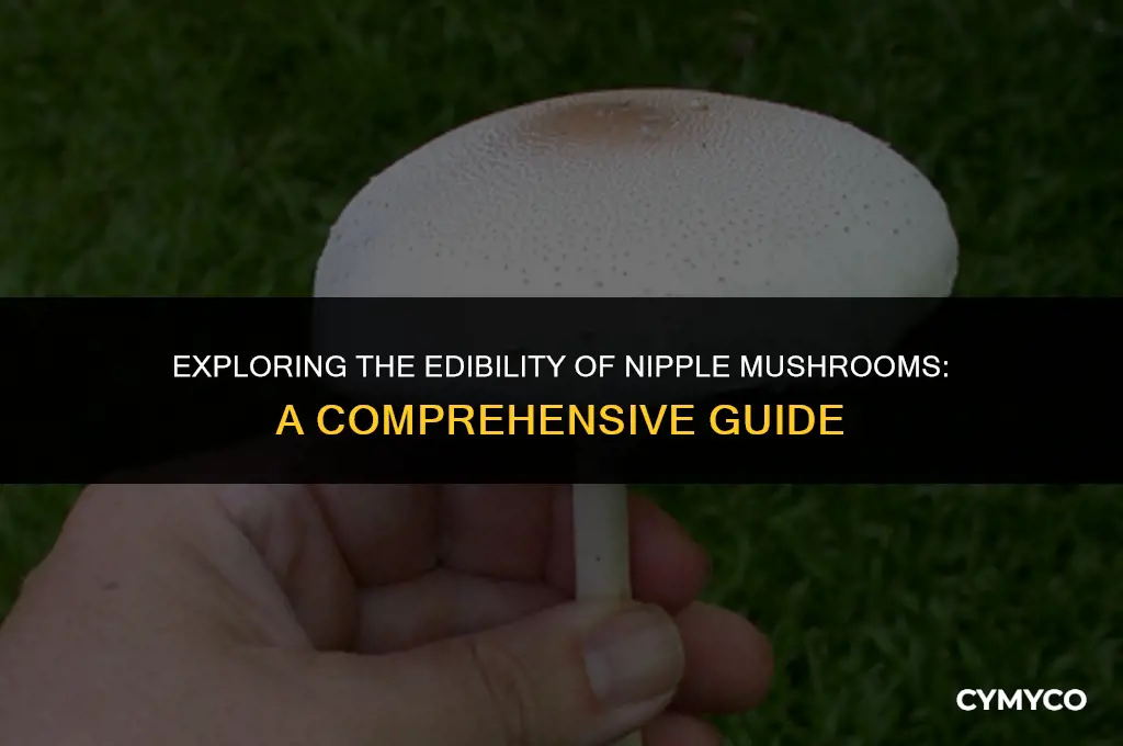 are nipple mushrooms poisonous