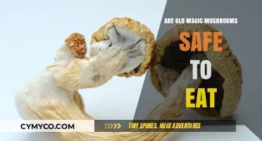 Exploring the Safety of Consuming Aged Magic Mushrooms