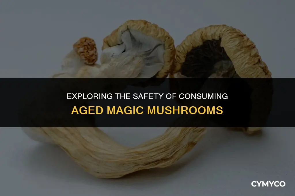 are old magic mushrooms safe to eat