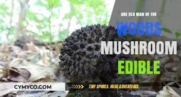 Exploring Edibility: The Truth About Old Man of the Woods Mushrooms