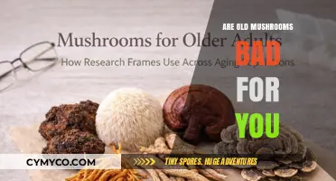 The Truth About Aging Mushrooms: Are They Safe to Eat?