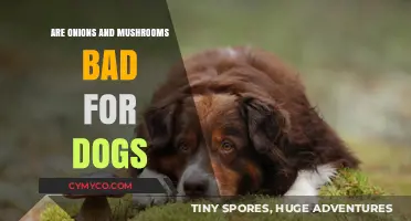 Can Dogs Eat Onions and Mushrooms? A Pet Owner's Guide