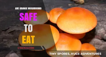 Exploring Edibility: Are Orange Mushrooms Safe to Eat?