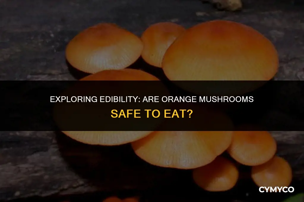 are orange mushrooms safe to eat