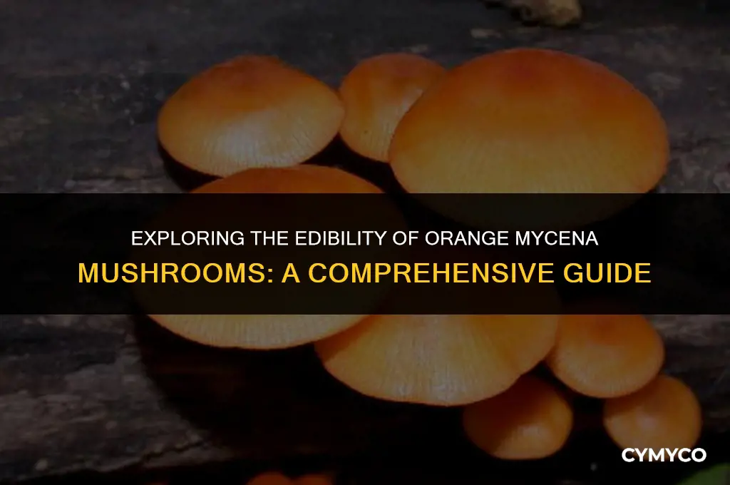 are orange mycena mushrooms edible