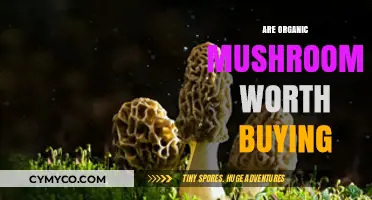 Organic Mushrooms: Are They a Worthwhile Investment for Your Health?