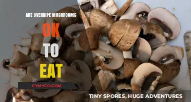 Exploring the Edibility of Overripe Mushrooms: A Comprehensive Guide