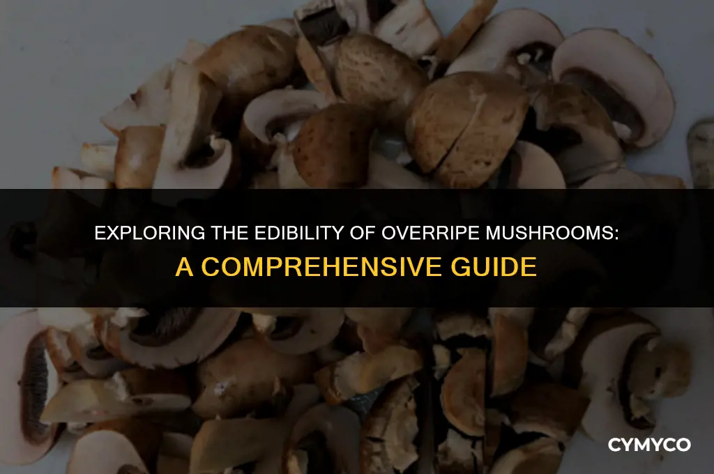 are overripe mushrooms ok to eat