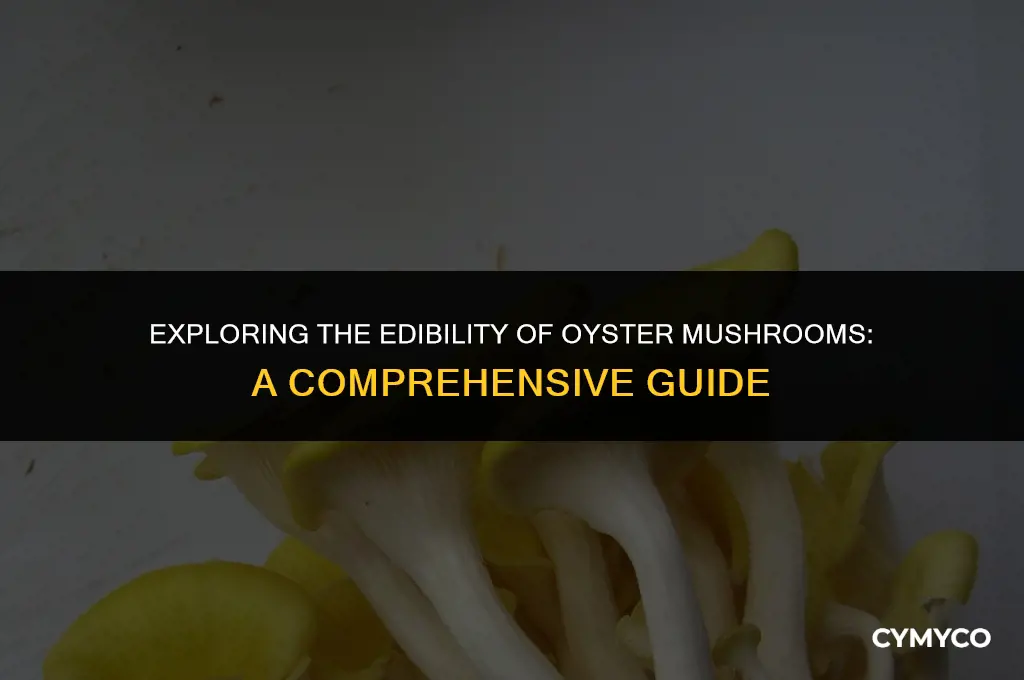 are oyser mushrooms edible