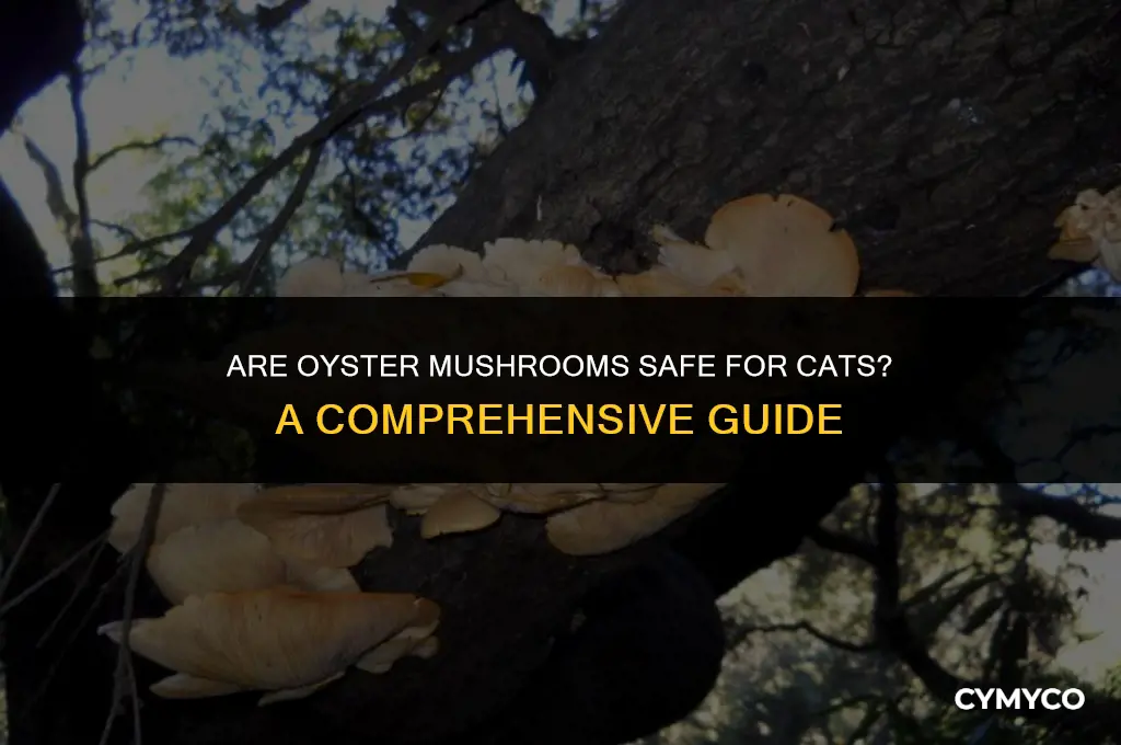 are oyster mushrooms bad for cats