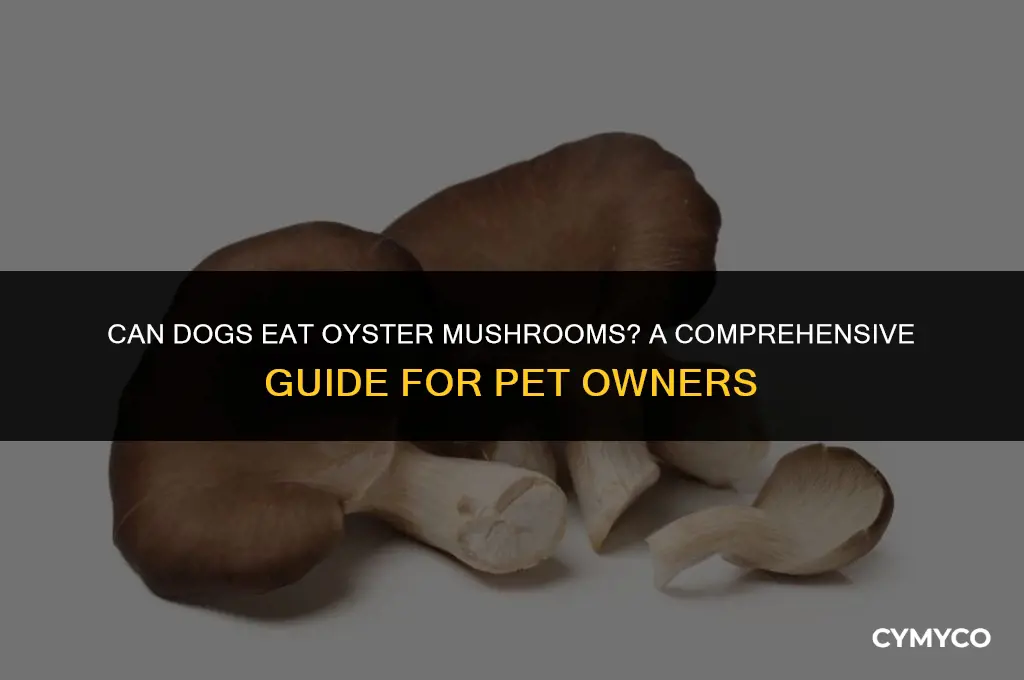 are oyster mushrooms bad for dogs
