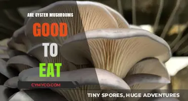 Savoring Sustainability: The Delicious and Nutritious Oyster Mushroom