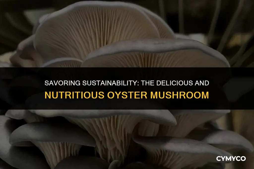 are oyster mushrooms good to eat