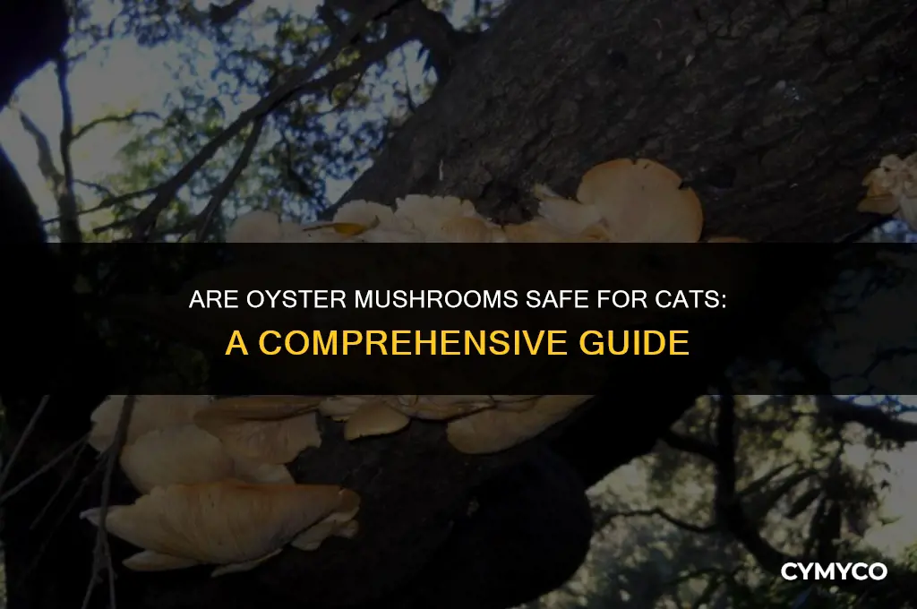 are oyster mushrooms poisonous to cats