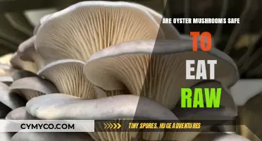 Exploring Edibility: Are Oyster Mushrooms Safe to Eat Raw?