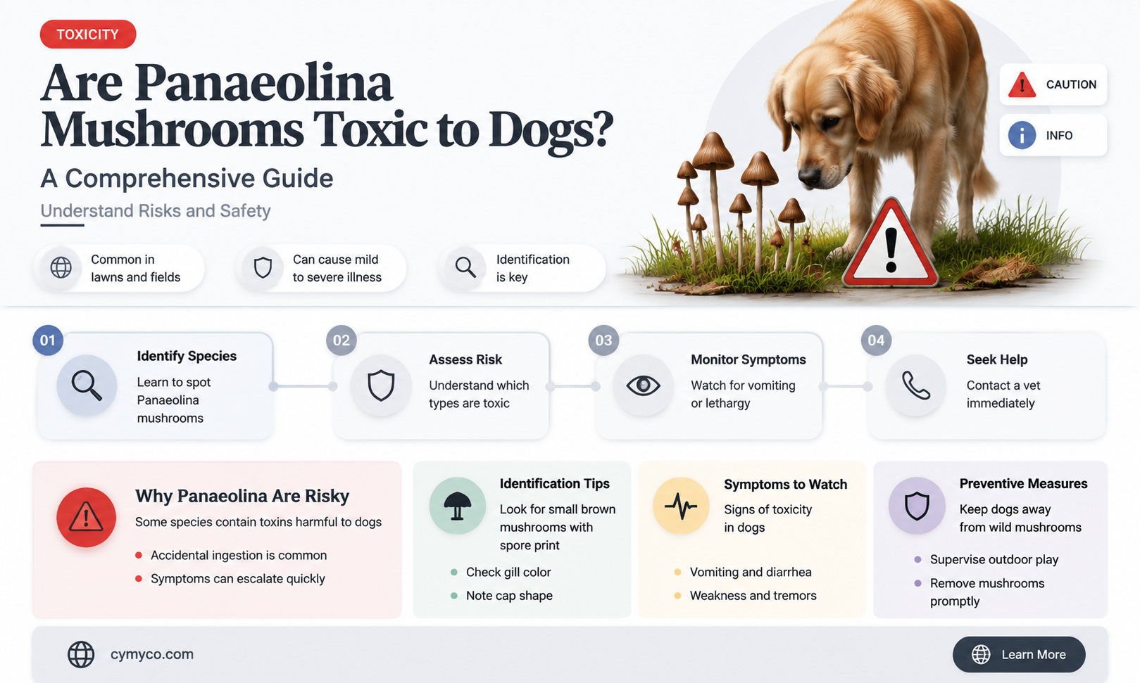 are panaeolina mushrooms poisonous to dogs