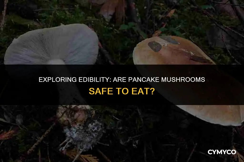 are pancake mushrooms edible