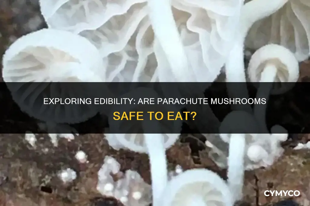 are parachute mushrooms edible