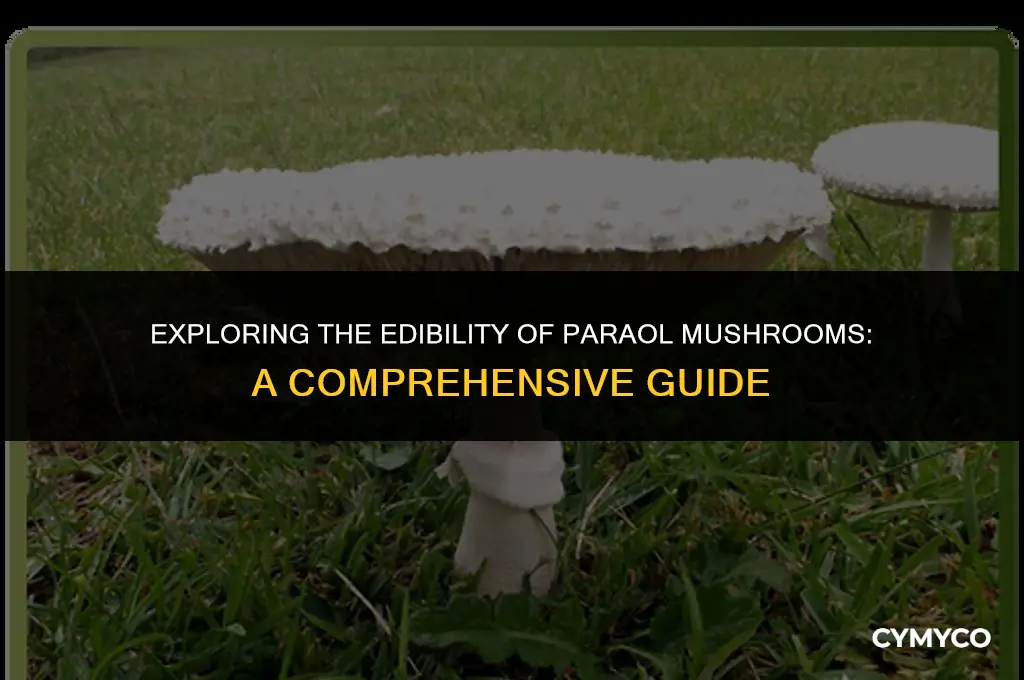 are paraol mushrooms edible