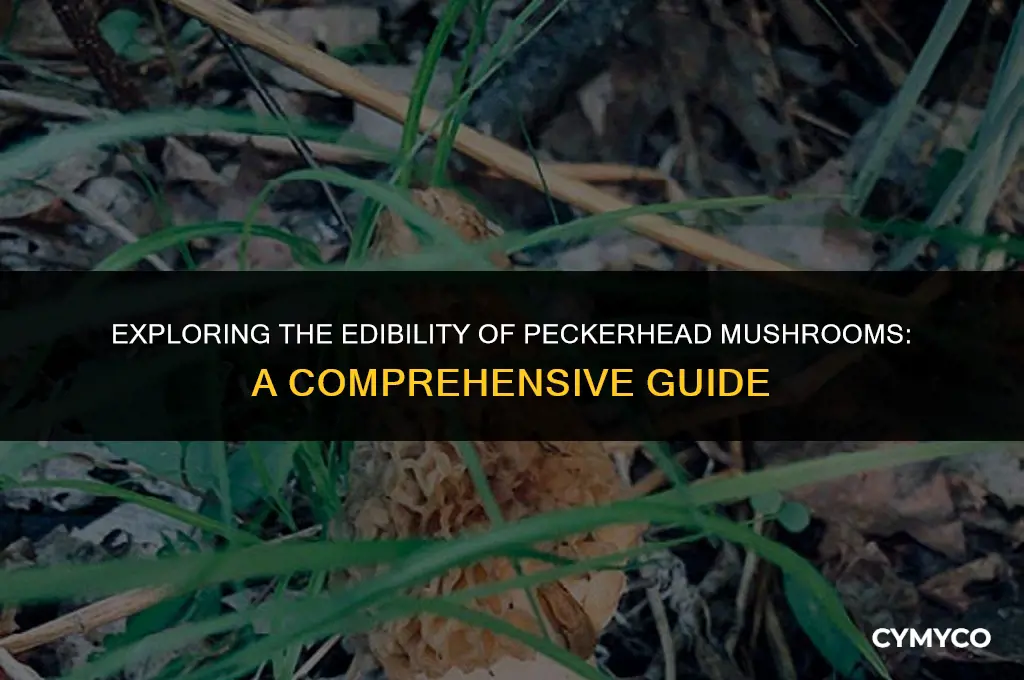 are peckerhead mushrooms poisonous