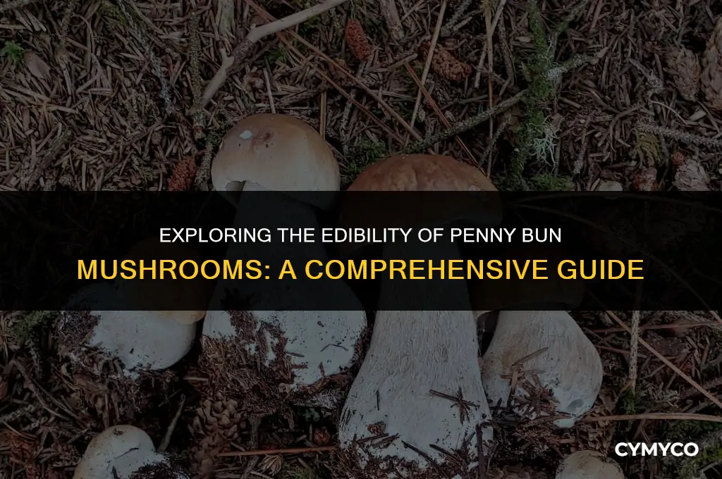 are penny bun mushrooms edible
