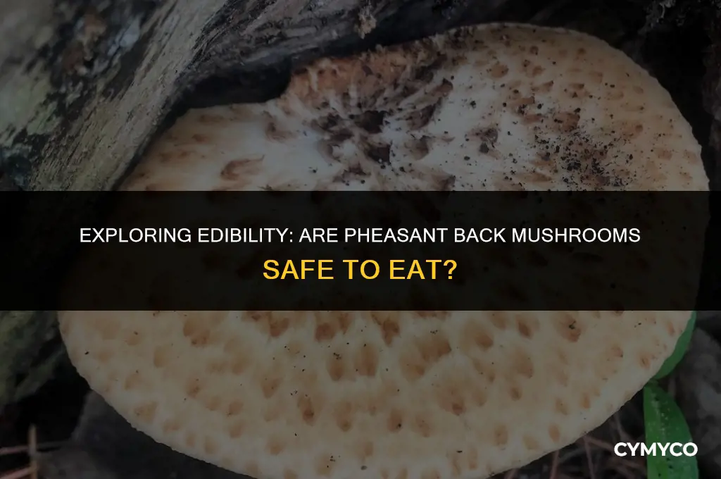 are pheasant back mushrooms good to eat