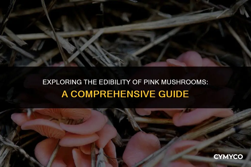 are pink mushrooms poisonous