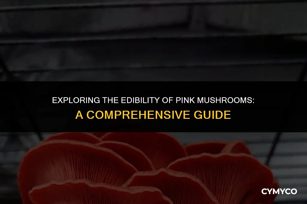 are pink mushrooms safe to eat