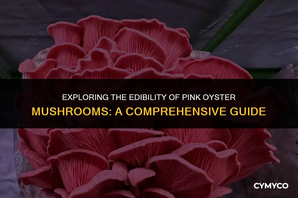 are pink oyster mushrooms edible