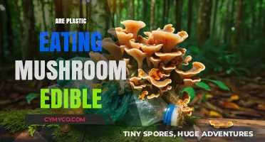 Exploring Edibility: Are Plastic-Eating Mushrooms Safe to Consume?