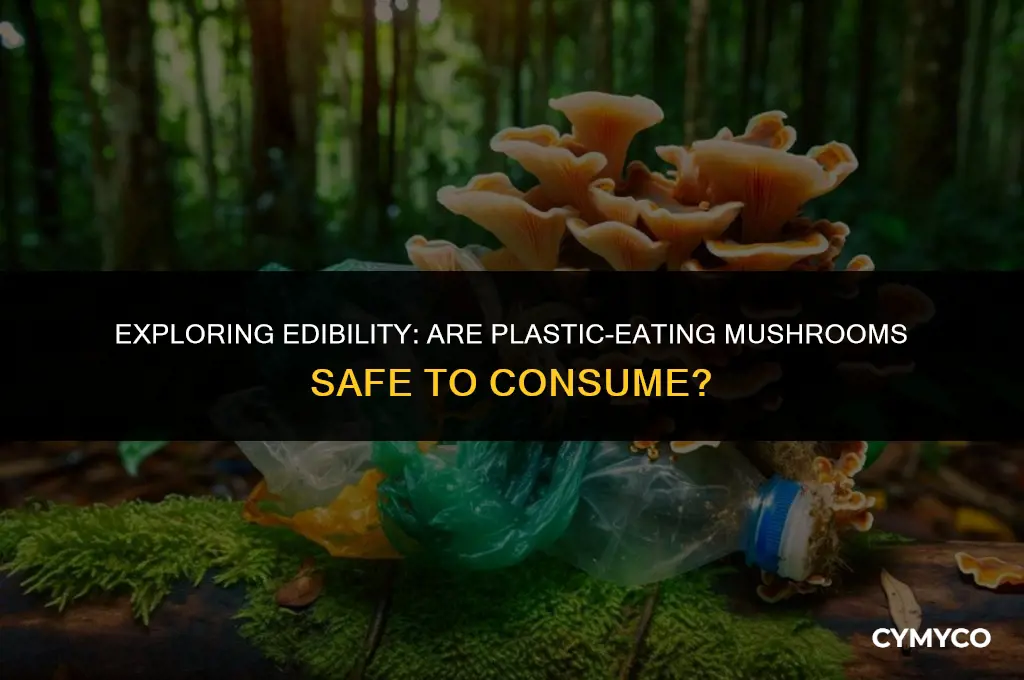 are plastic eating mushroom edible
