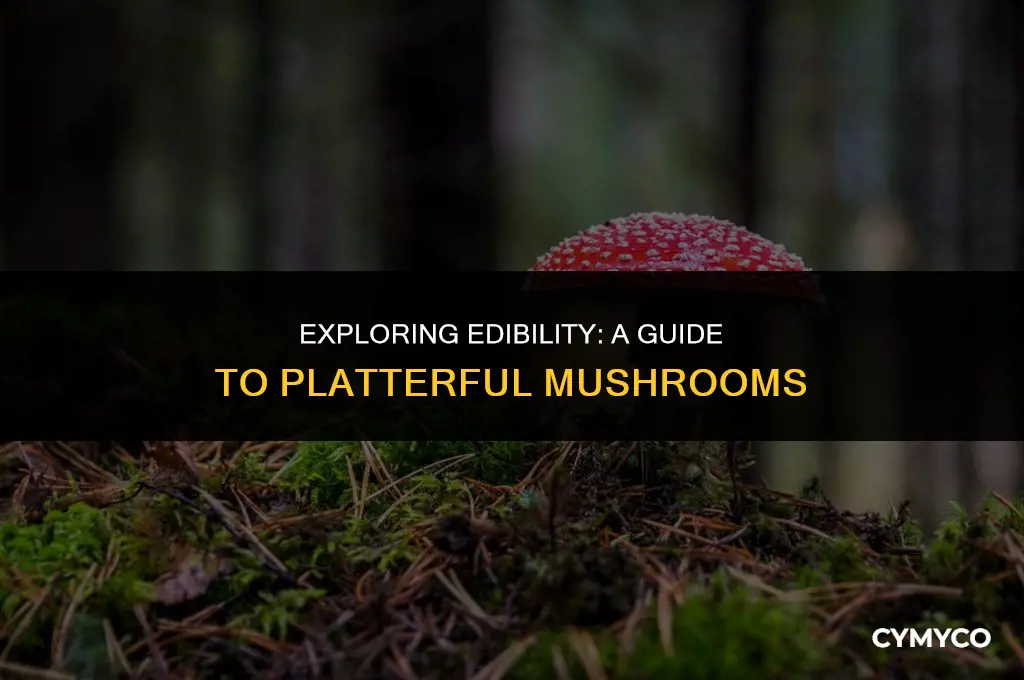 are platterful mushroom edible