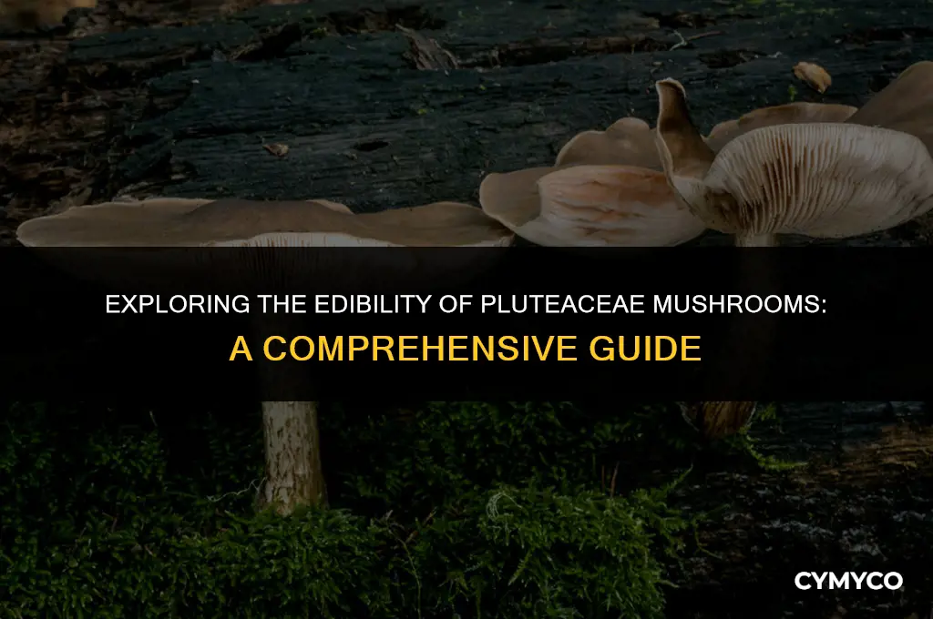 are pluteaceae mushrooms edible