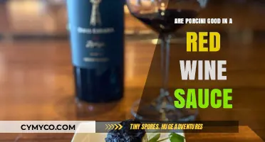 Porcini Mushrooms in Red Wine Sauce: A Perfect Pairing?