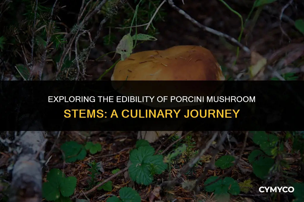 are porcini mushroom stems edible