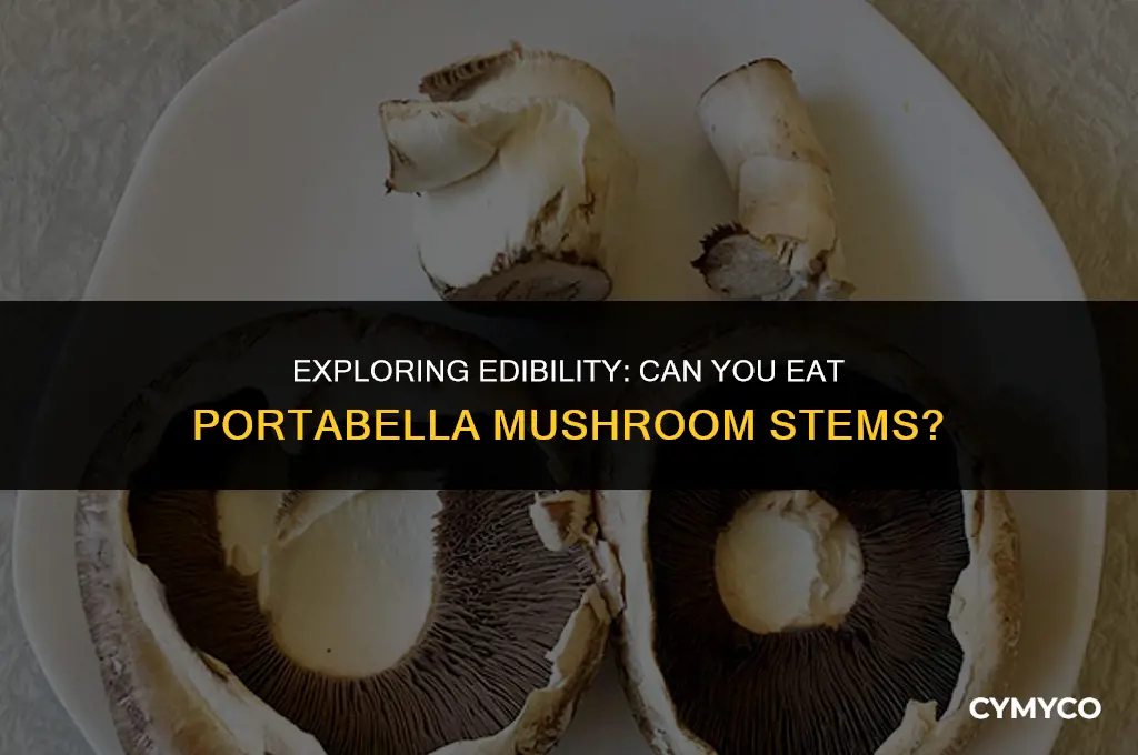 are portabella mushroom stems edible
