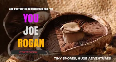 Exploring the Health Impact of Portabella Mushrooms: A Joe Rogan Perspective